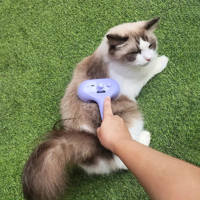 Gatto domestico durante la spazzolatura con FurEase Brush, rimozione pelo efficace e delicata