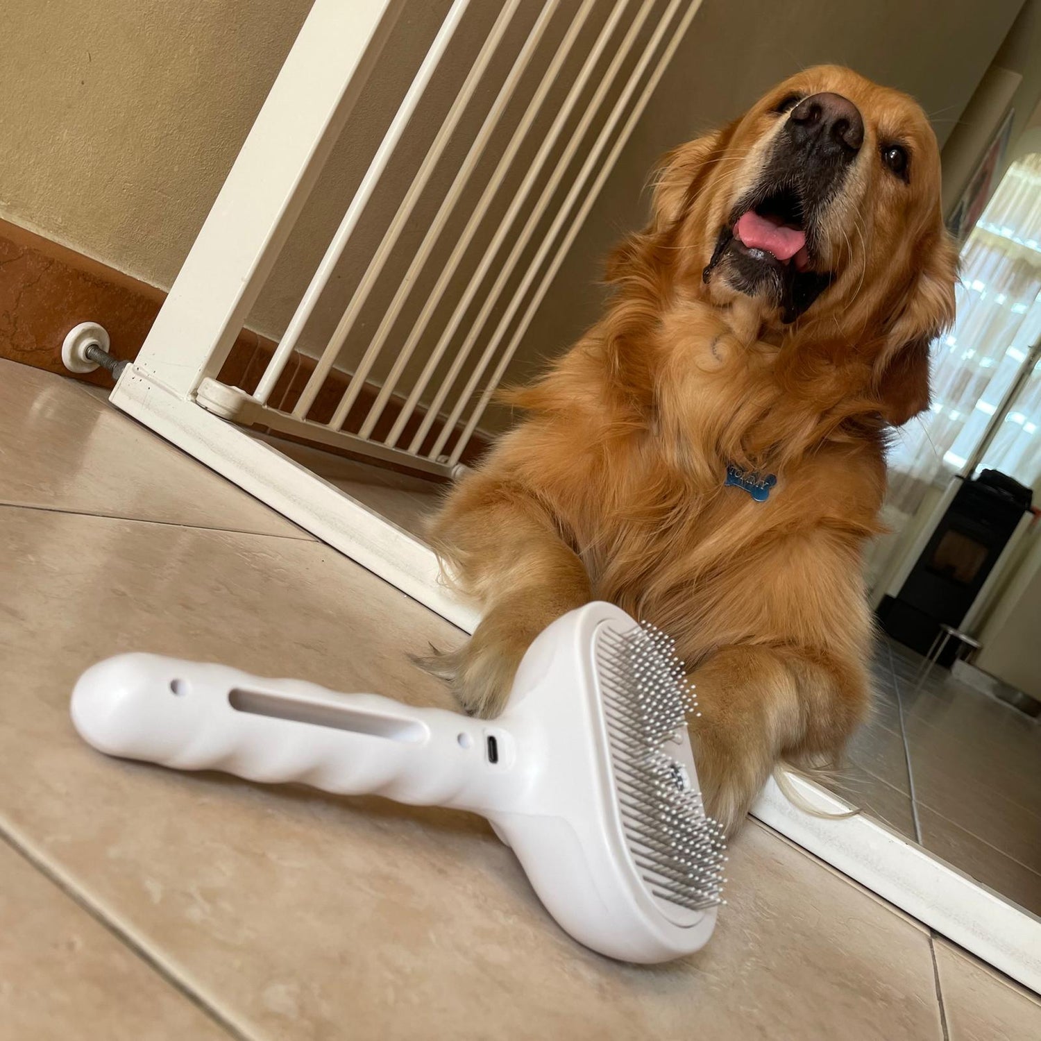 Spazzola FurEase Brush accanto a Golden Retriever, ideale per la cura del pelo del cane